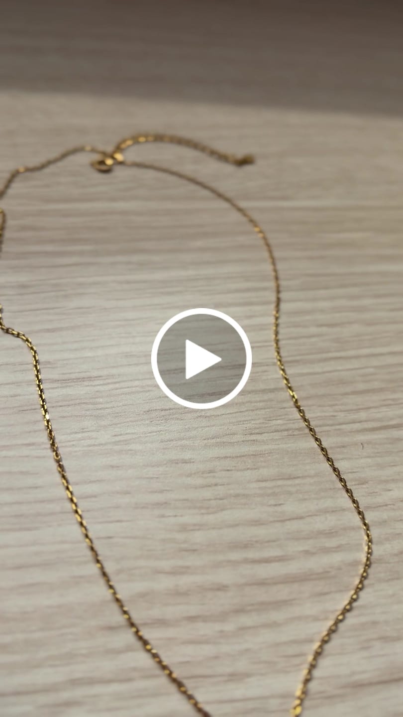 Customer video review of Collar Tortuga Marina