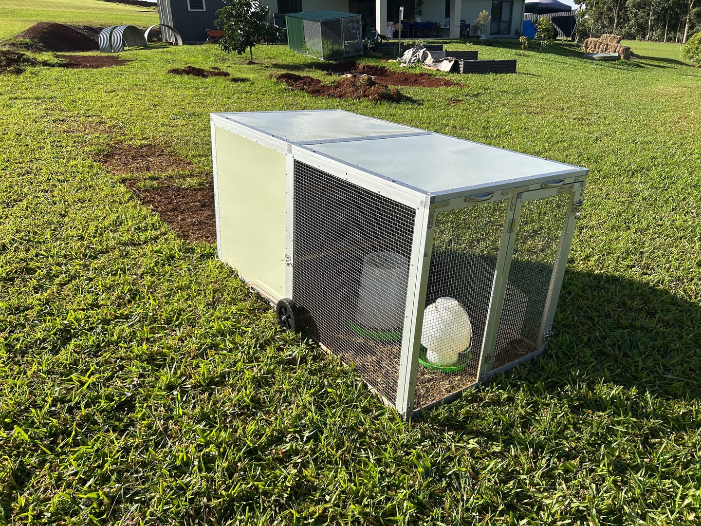 Customer photo review of Mobile Chicken Coop / Chicken Tractor