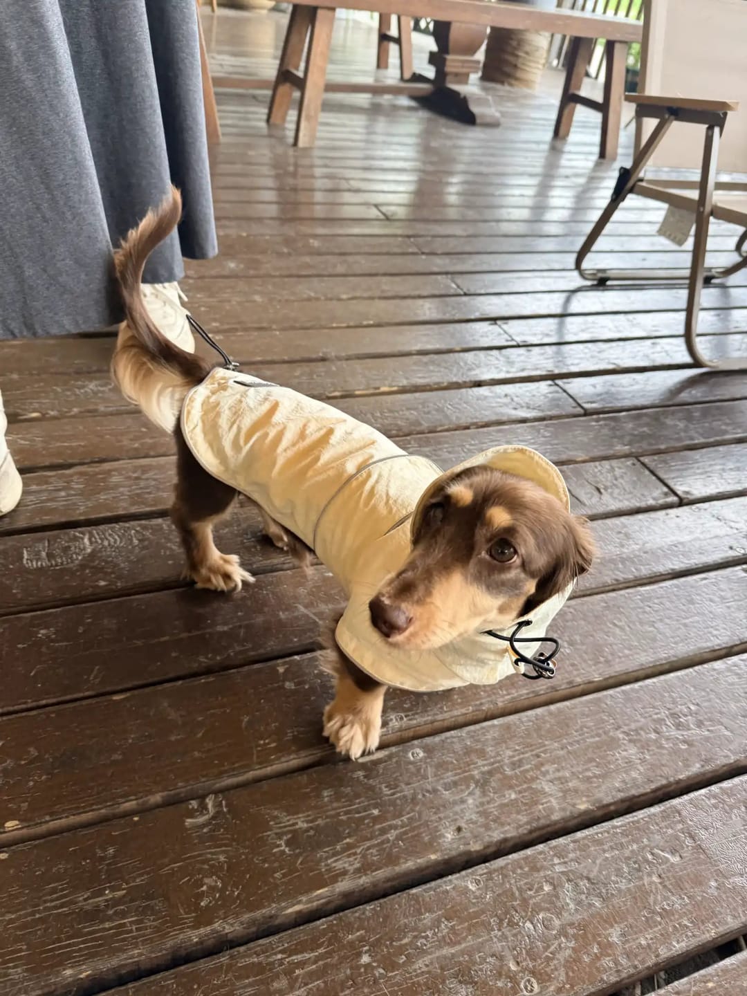 Customer photo review of Waterproof Raincoat