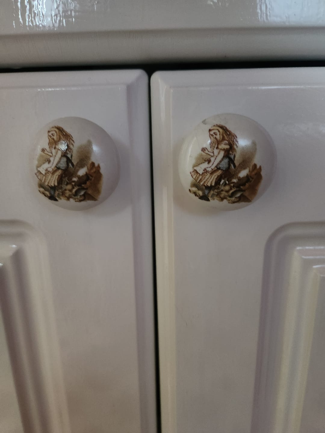 Customer photo review of Ceramic Cupboard Knob Alice in Wonderland in Colour 'Alice tips the Jury Box'