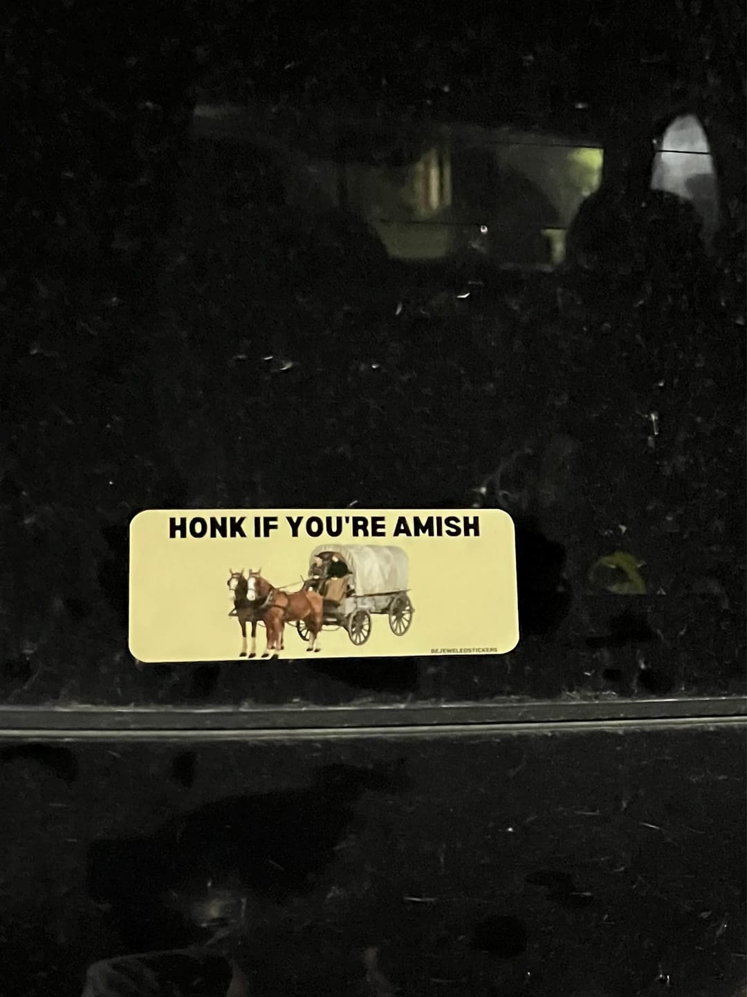 Customer photo review of Honk If You're Amish