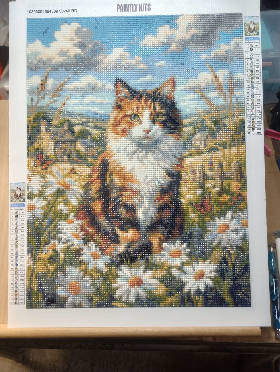 Customer photo review of Meadow Cat Reverie (Diamond Painting)
