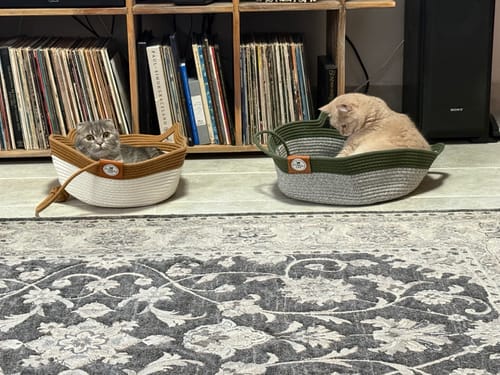 Customer's two Instinct Basket cat beds in brown and green, each with a cat sitting inside on a rug.