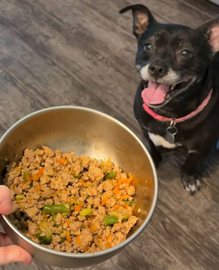 Customer photo review of Pack Nutrición para Mascotas + Bonos