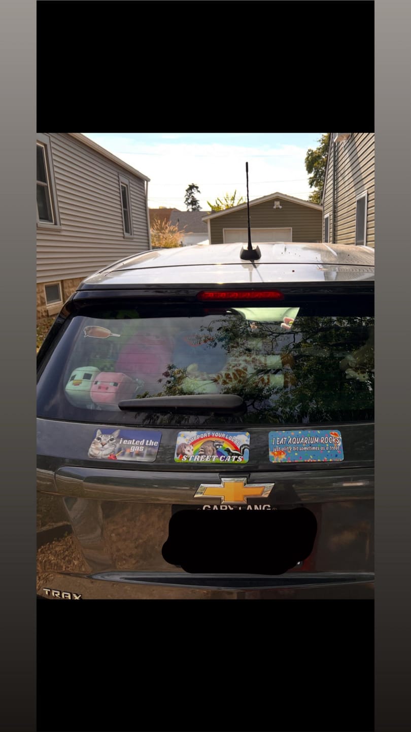 Customer photo review of Support Your Local Street Cats