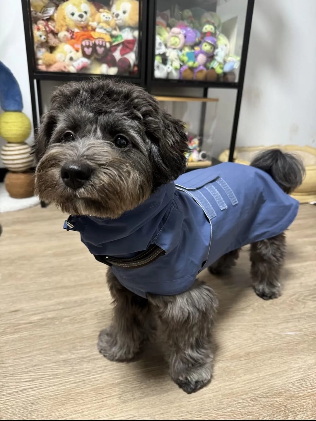 Customer photo review of Waterproof Raincoat