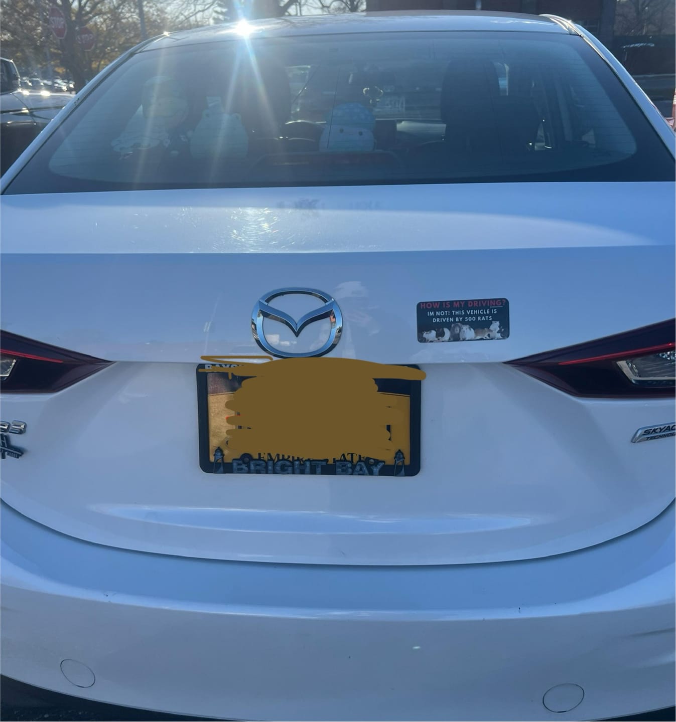 Customer photo review of 500 Rats