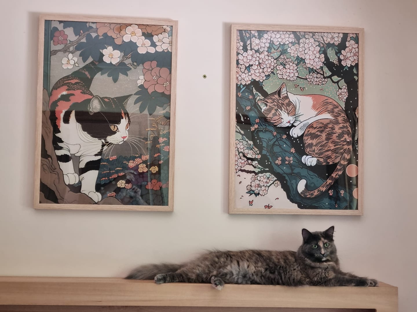 Customer photo review of CANVAS - Kurama