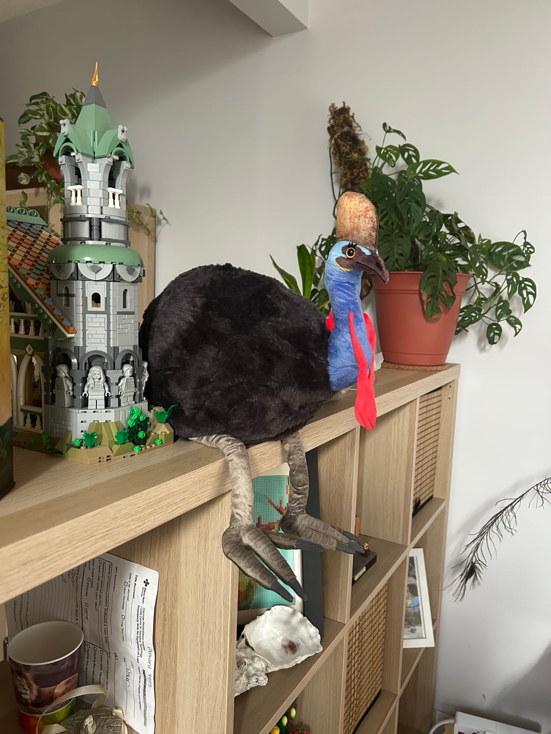 Customer photo review of Southern Cassowary Soft Stuffed Plush Toy