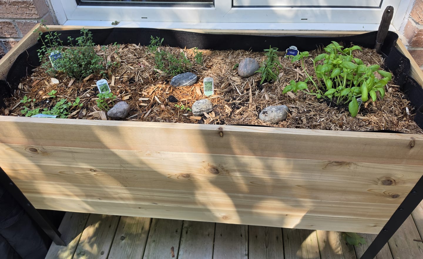 Customer photo review of 18" x 48" Raised Garden Bed - 30" TALL - Select Grade