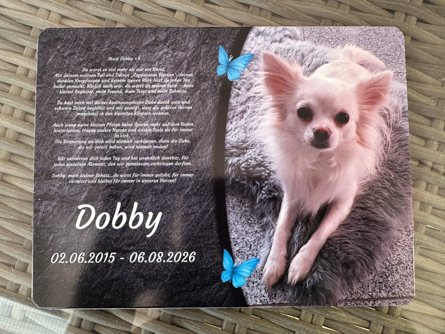 Customer photo review of Hunde Gedenktafel mit Foto & Spruch (UV- & Wetterfest)