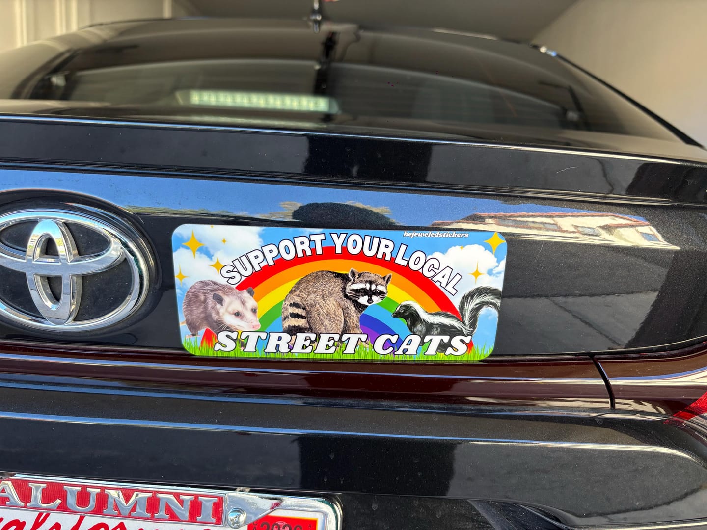 Customer photo review of Support Your Local Street Cats