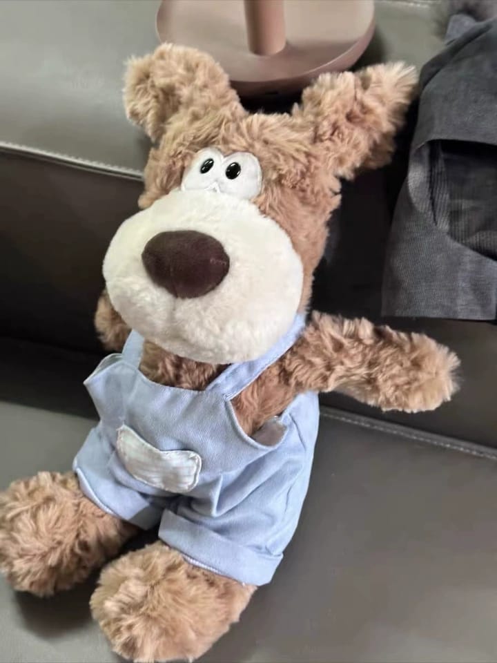 Customer photo review of Dave Dog