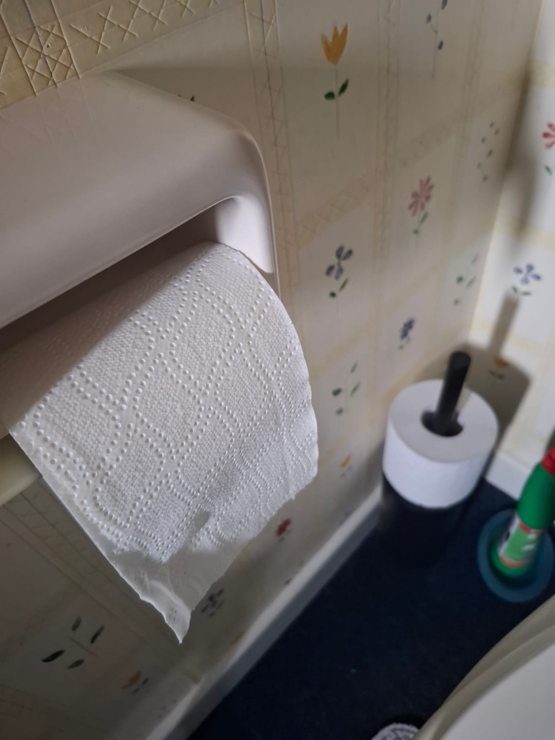 Customer photo review of 100% Recycled Toilet Paper