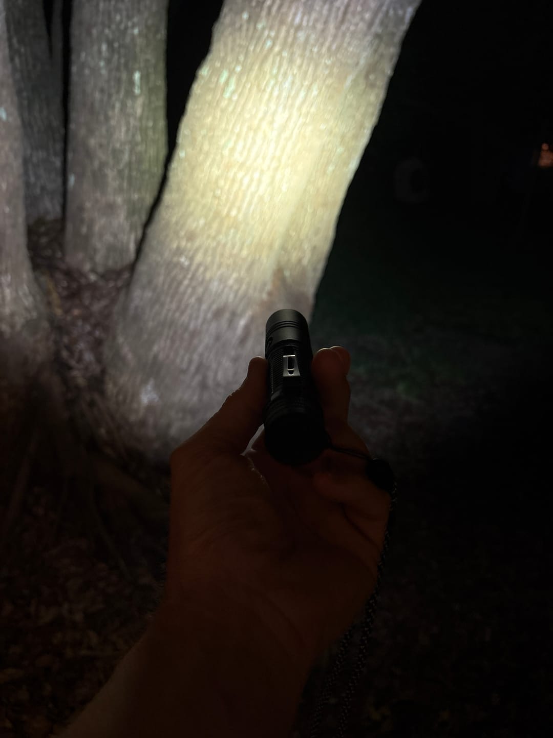 Customer photo review of 80Eighty® Outdoor Flashlight