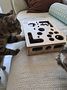 Customer photo review of Sugenza™ Kedi Tırnak Törpüleme & Oyun Kutusu