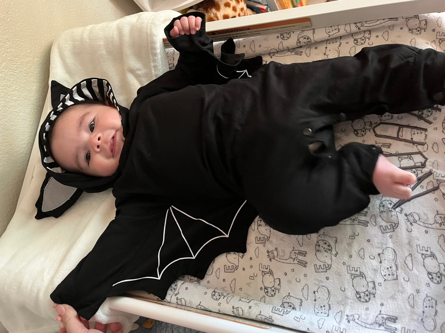 Customer photo review of Baby Bat Costume