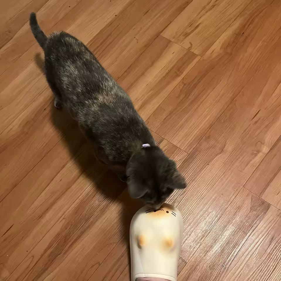 Customer photo review of Miuva Kitty – Cat Paw Prints