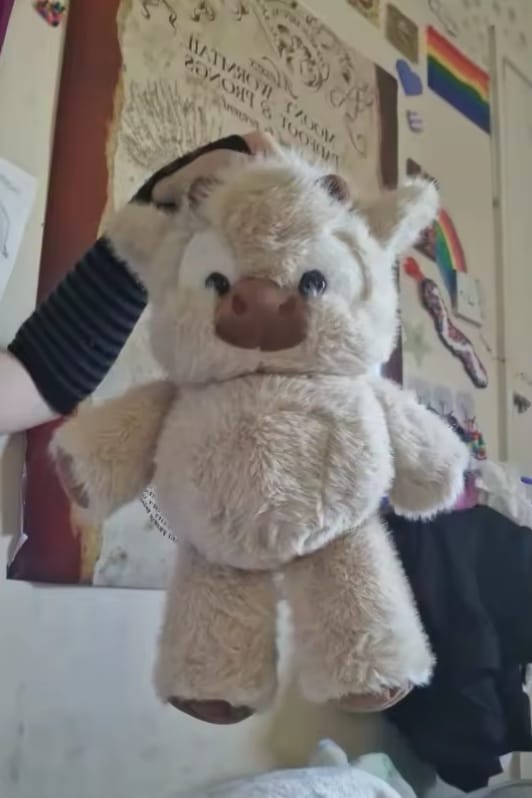 Customer photo review of Salla-Gör Hareketli Peluş - Beyaz İnek