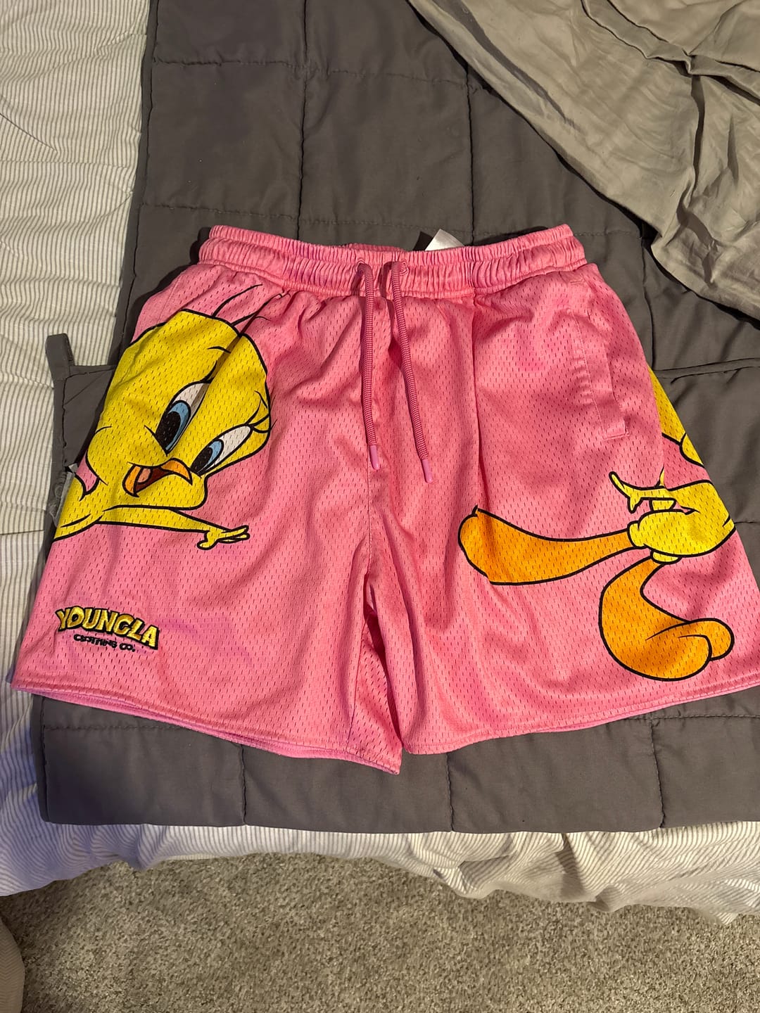 Customer photo review of 1098 - Looney Tunes Basketball Shorts