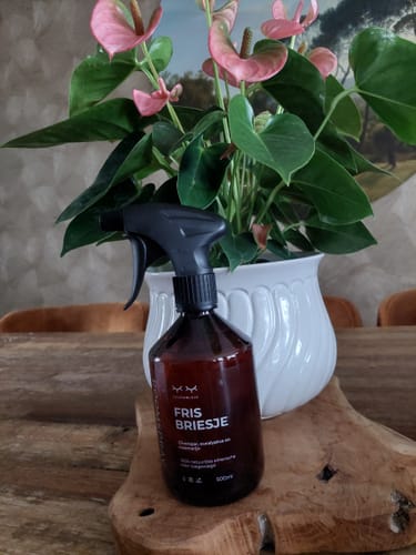Reviewer's Fris Briesje roomspray bottle standing on a wooden slab, placed in front of a plant with pink flowers.