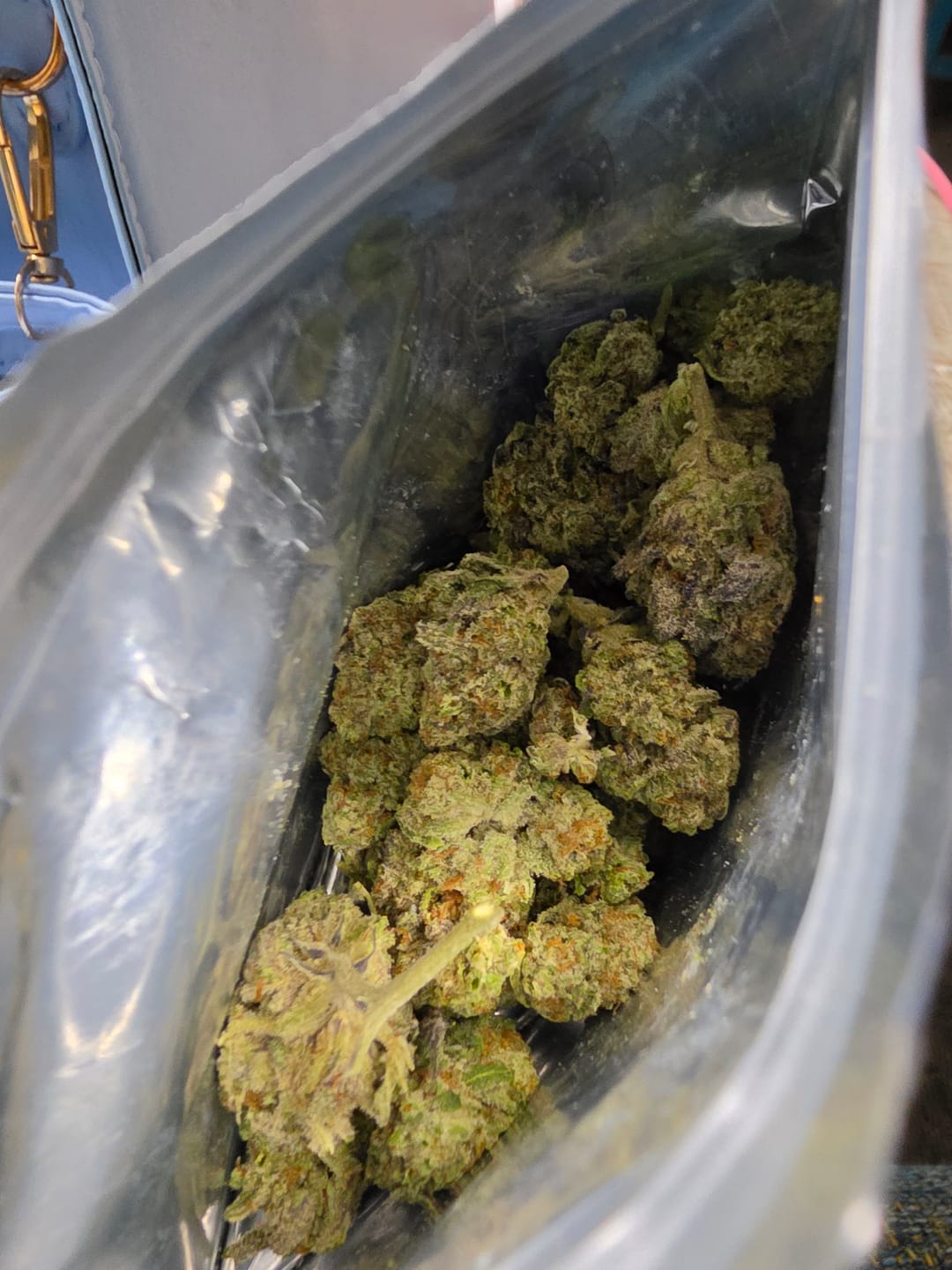 Customer photo review of Kinglato THCA Flower