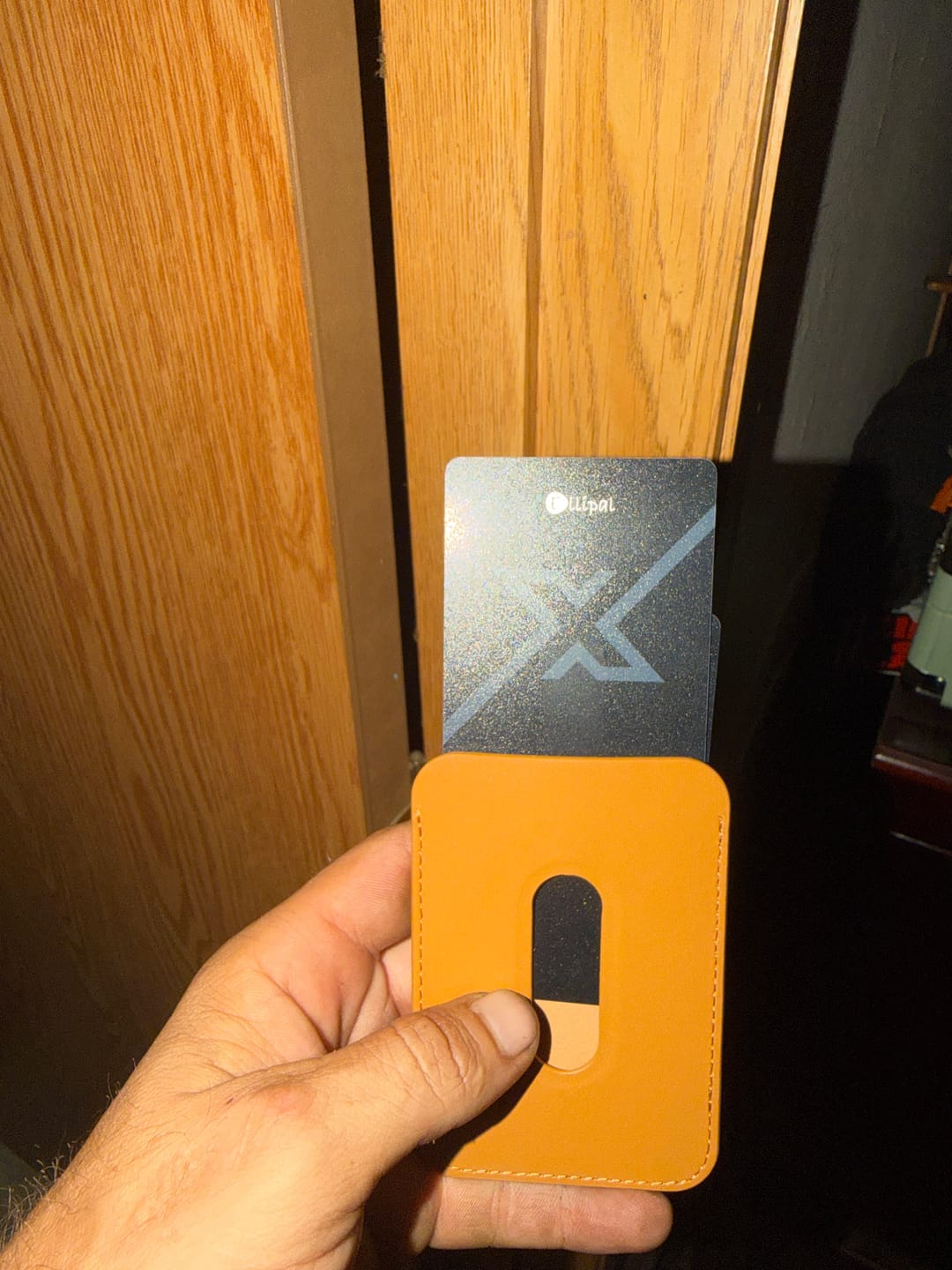 Customer photo review of ELLIPAL X Card Cold Wallet