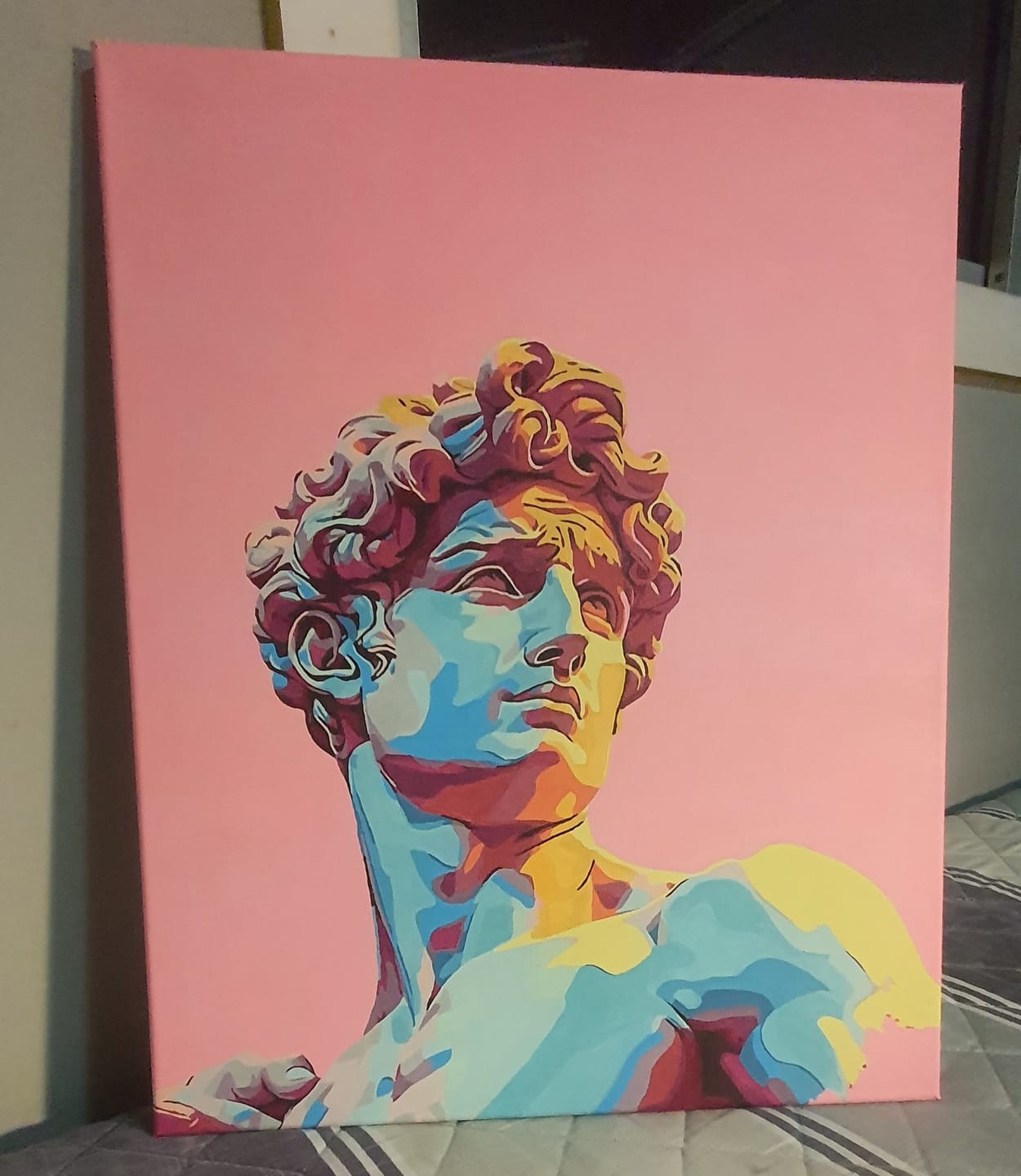 Customer photo review of Pink David (Pintura por Números) 40x50 cm