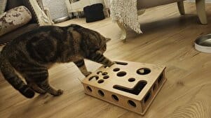 Customer photo review of Sugenza™ Kedi Tırnak Törpüleme & Oyun Kutusu