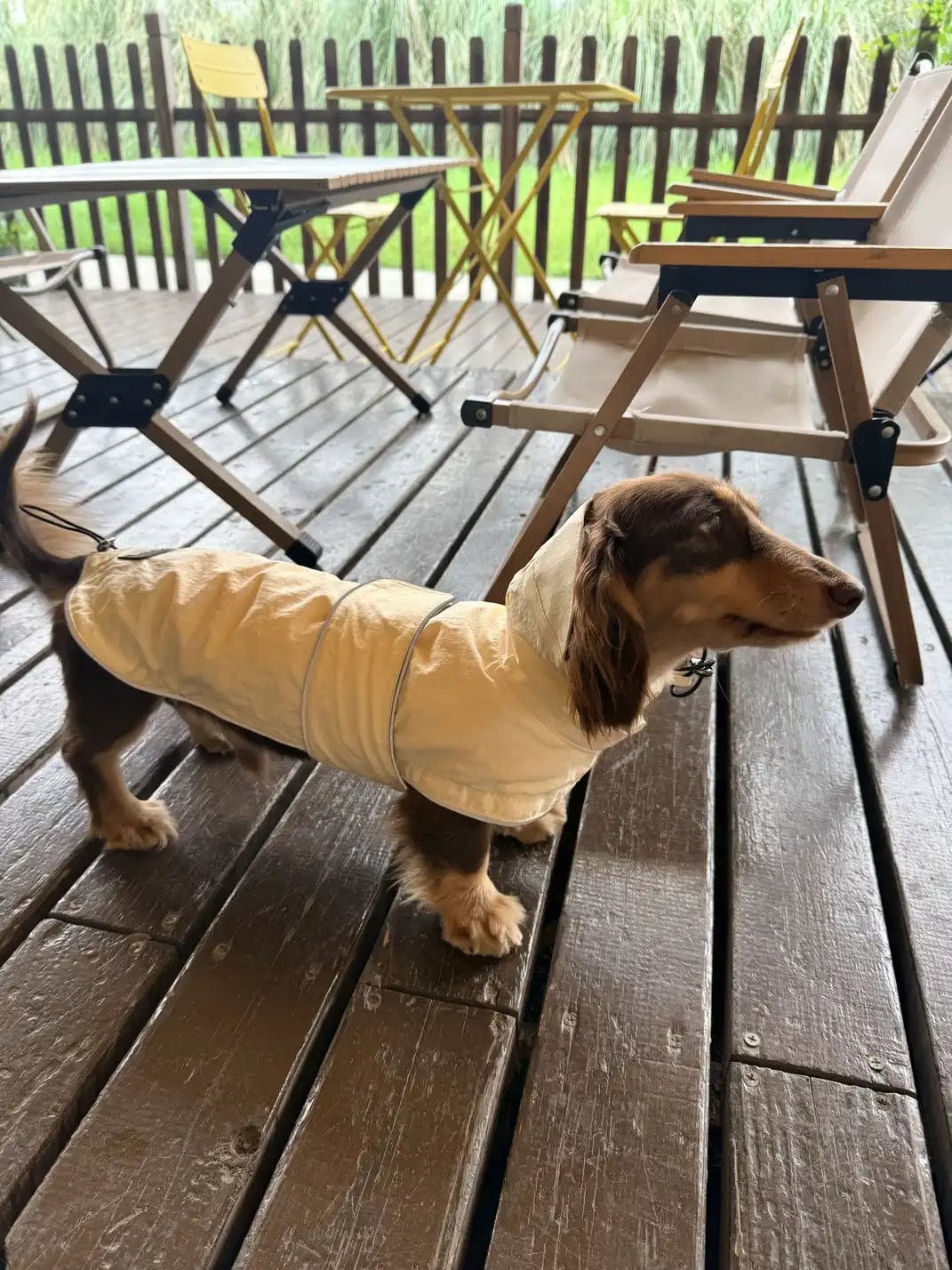Customer photo review of Waterproof Raincoat