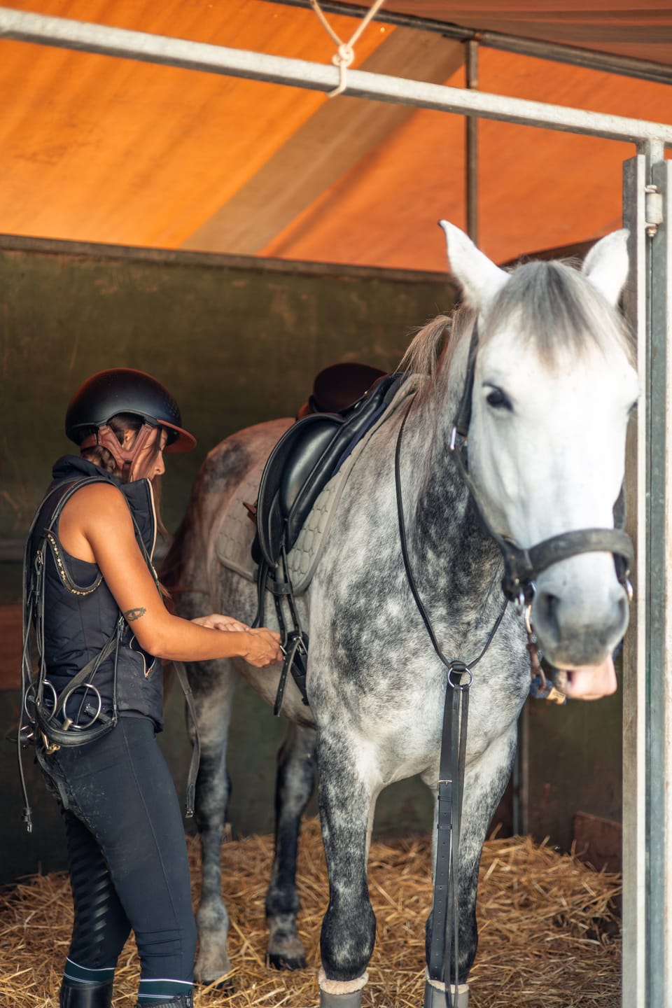 Customer photo review of Hoof Power Leckerlis — Starke Hufe fürs Pferd