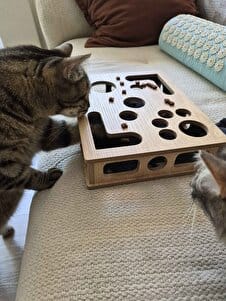 Customer photo review of Sugenza™ Kedi Tırnak Törpüleme & Oyun Kutusu