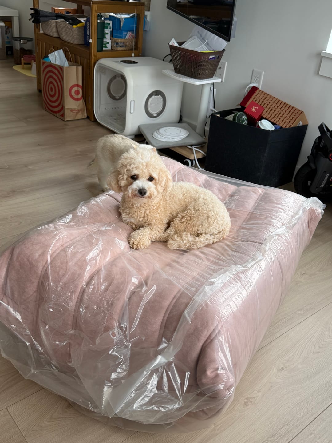 Customer photo review of Chillax Lounger Sofa Ottoman