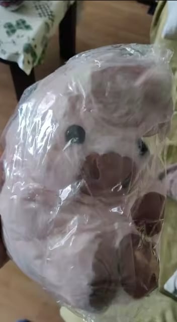 Customer photo review of Salla-Gör Hareketli Peluş - Beyaz İnek