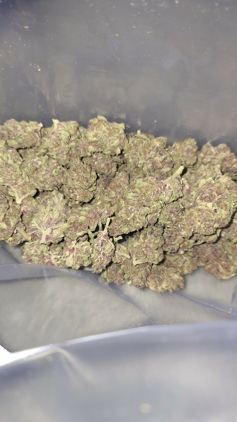 Customer photo review of Tropicana Cherry THCA Flower