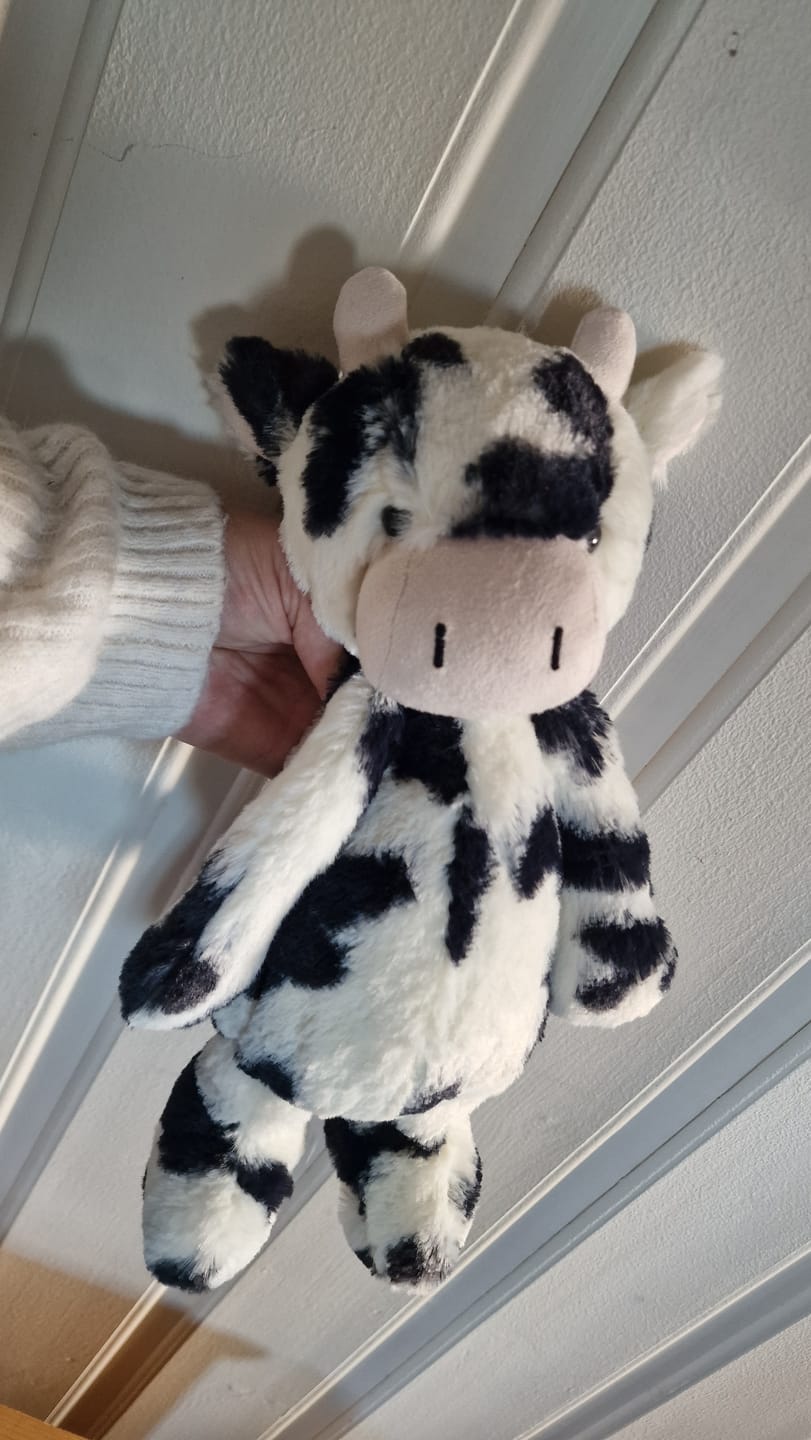 Customer photo review of Bashful Calf Ku 31 cm | Jellycat