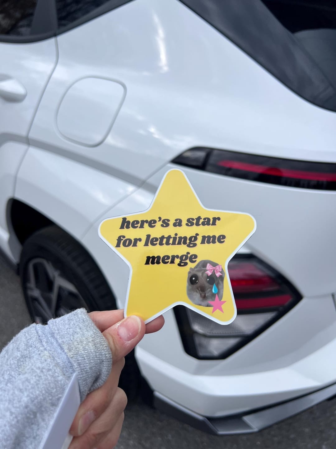 Customer photo review of here's a star for letting me merge hamster