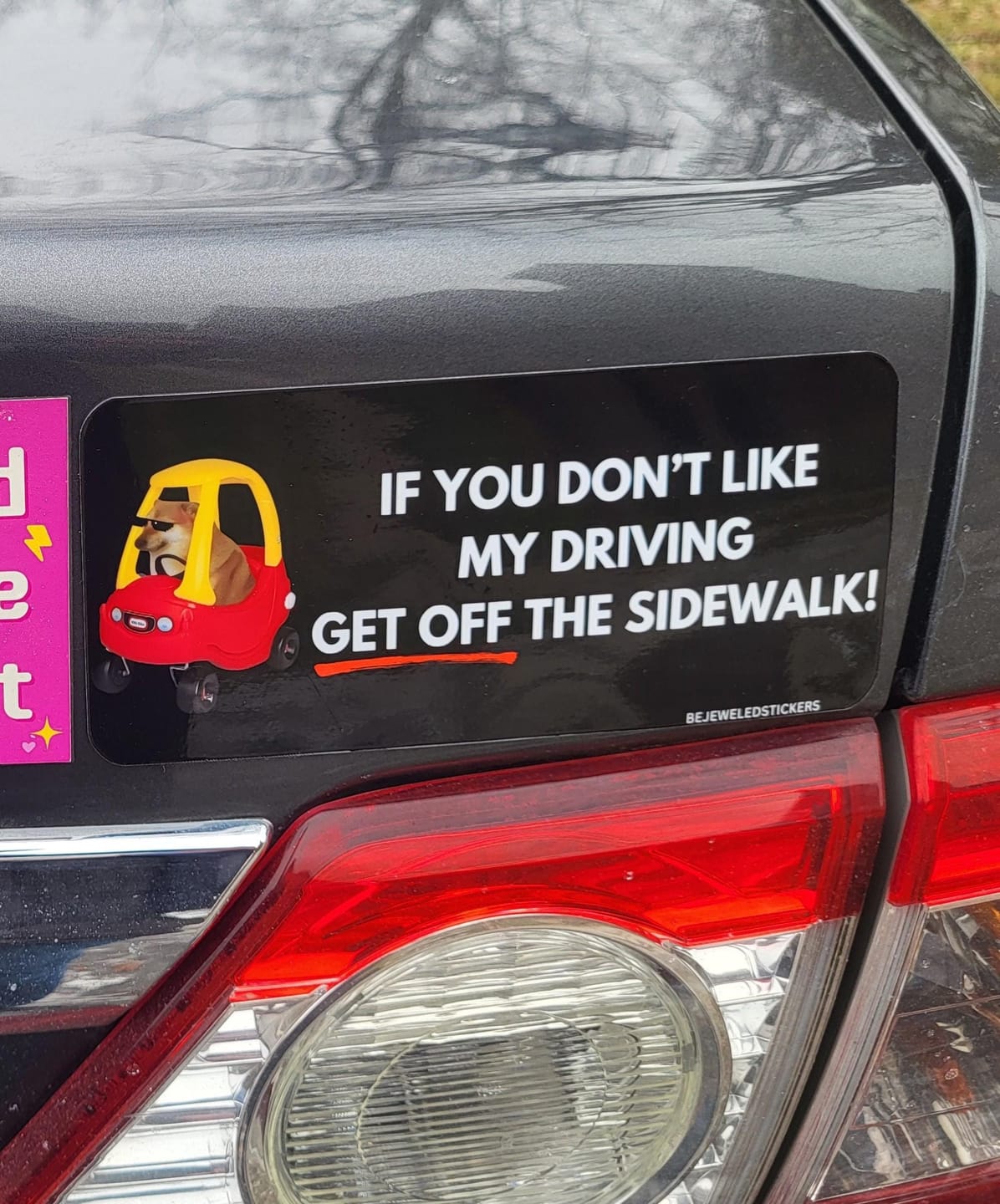 Customer photo review of if you don't like my driving, get off the sidewalk!
