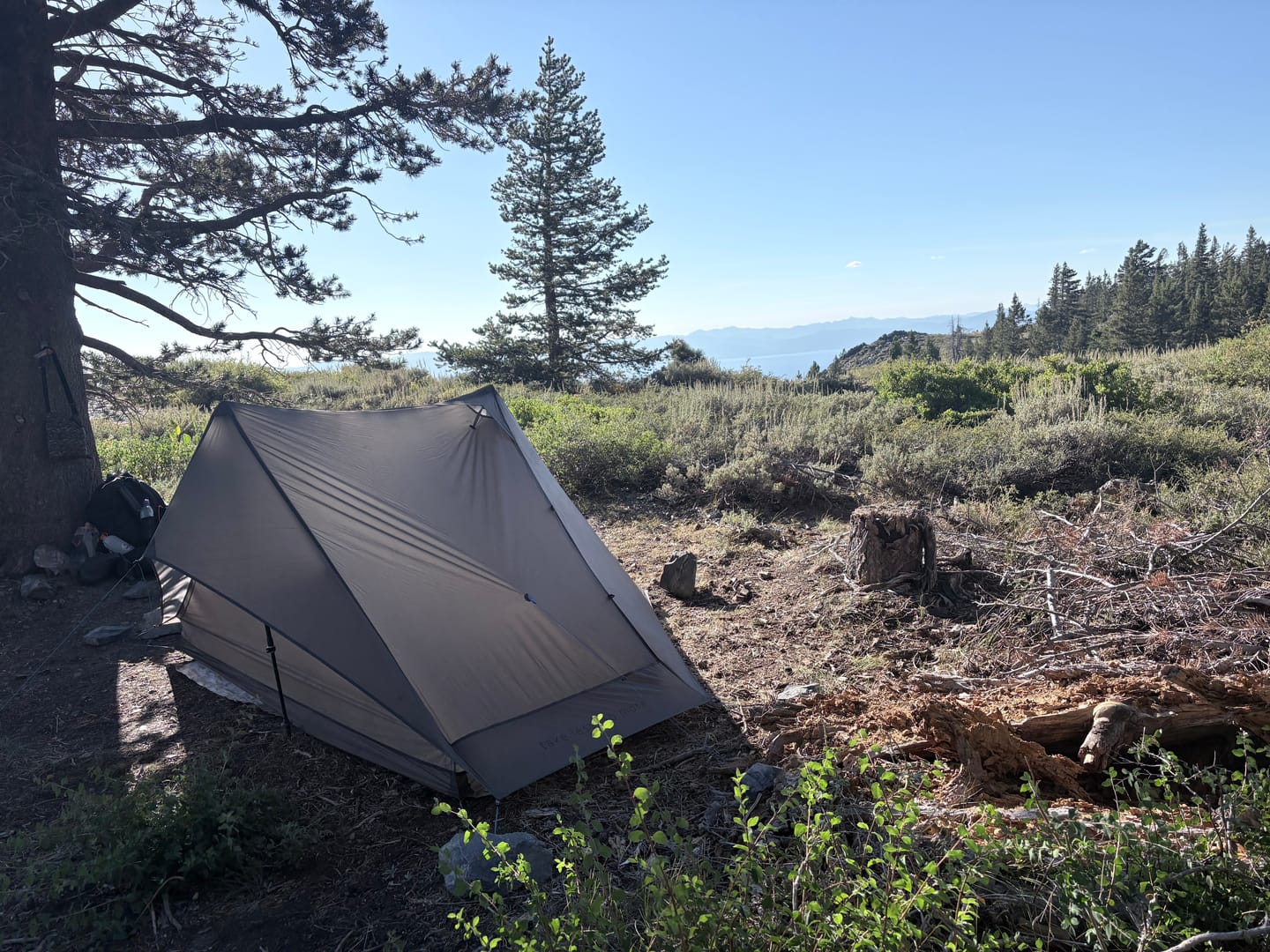 Customer photo review of The One