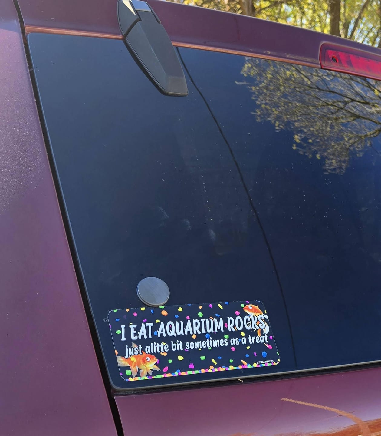 Customer photo review of I Eat Aquarium Rocks