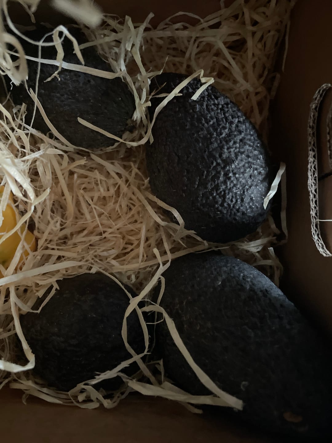 Customer photo review of Avocado Hass 15 Monate baumgereift von Julian