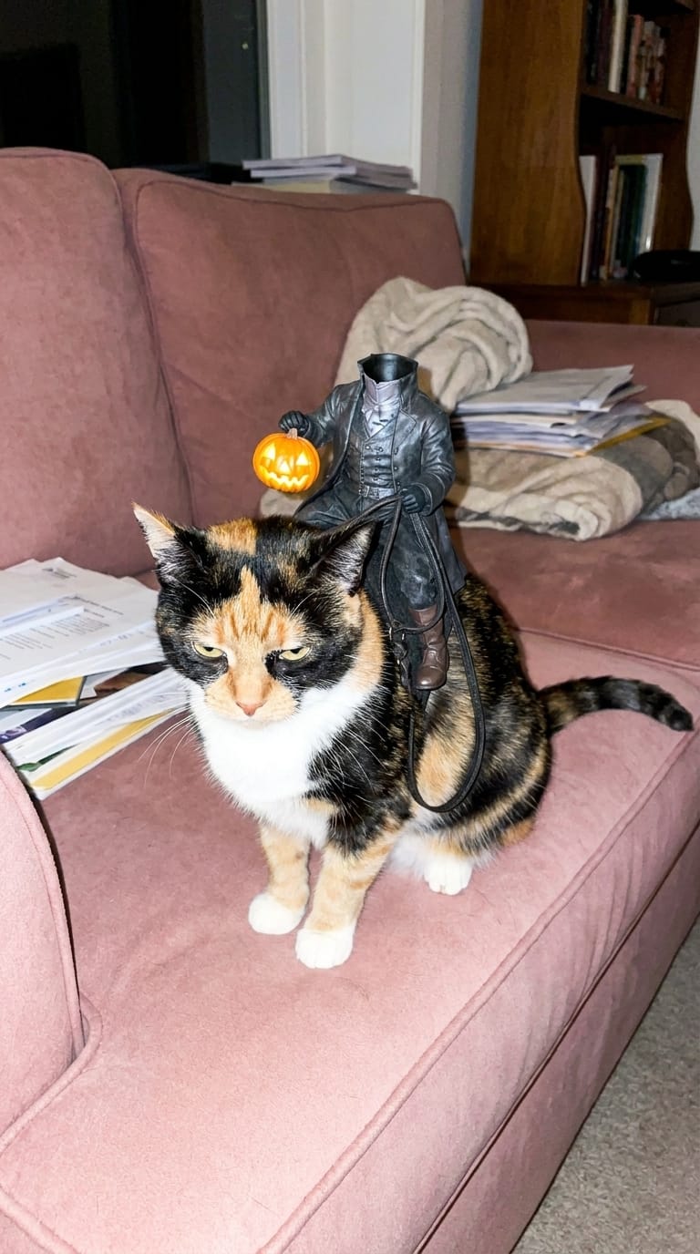 Customer photo review of El Jinete sin Cabeza - Disfraz de Gato