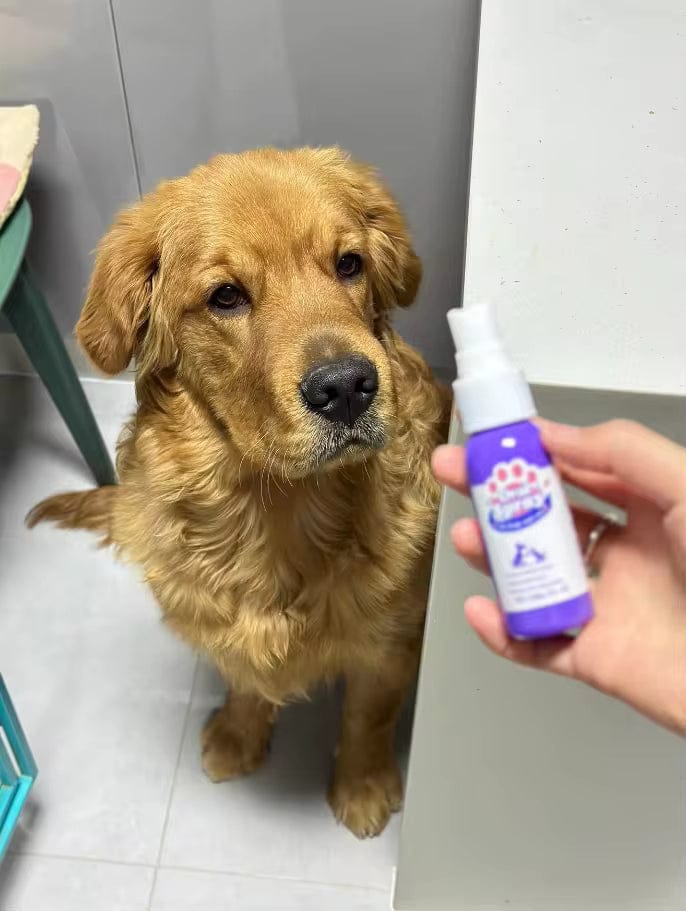 Customer photo review of Elimina el mal aliento de tu mascota en segundos 🐾