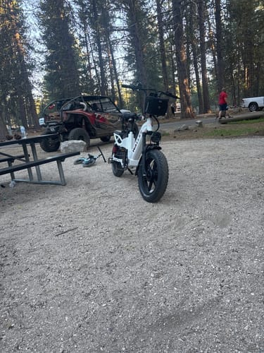 Customer photo review of Wallke H7 Step-thru | All-Wheel Drive Fat Tire eBike