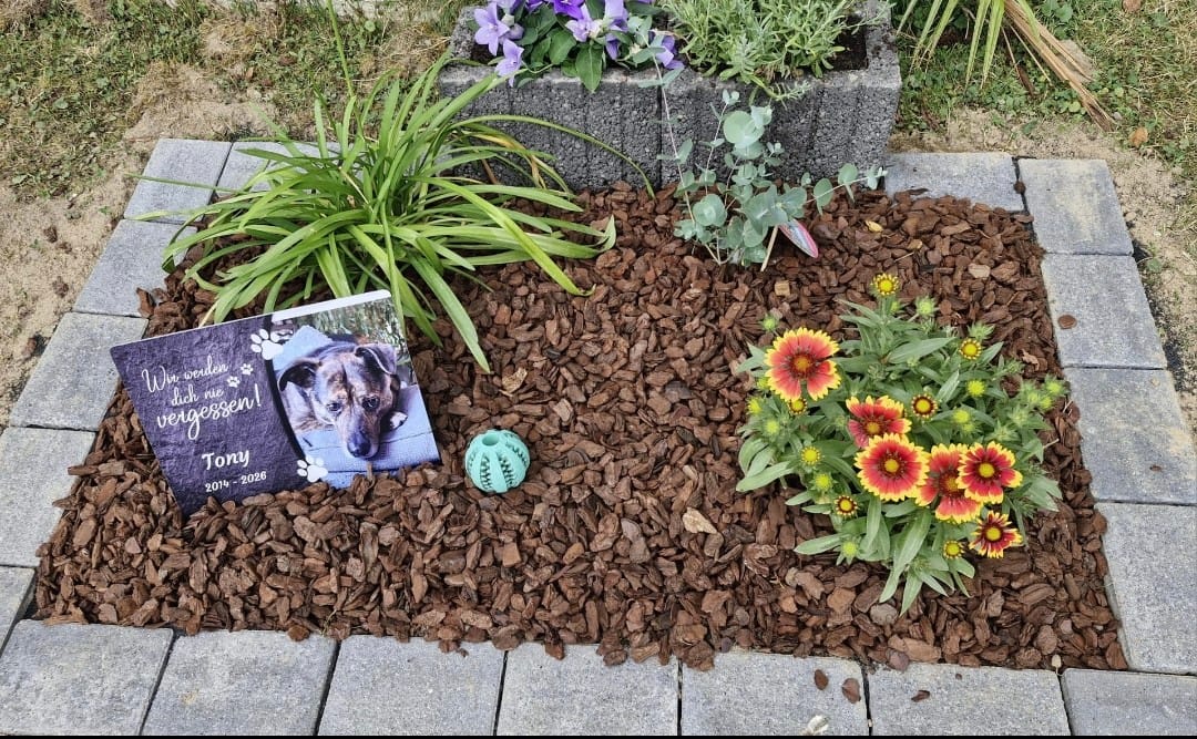 Customer photo review of Hunde Gedenktafel mit Foto & Spruch (UV- &  Wetterfest)