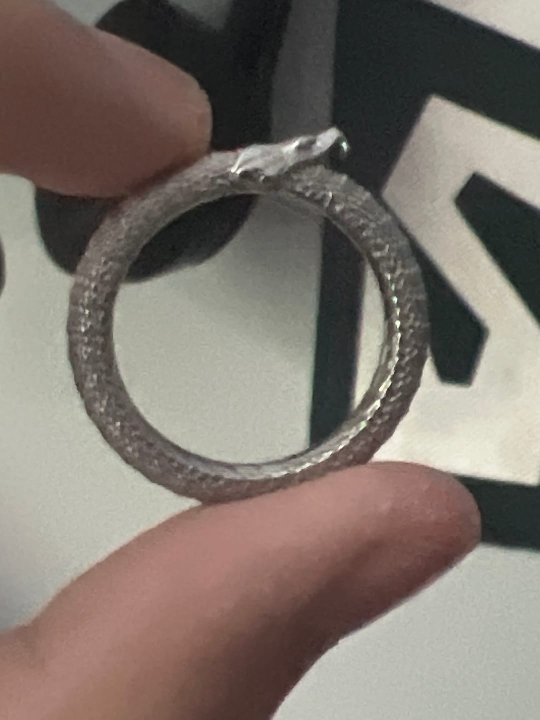 Customer photo review of OUROBOROS RING