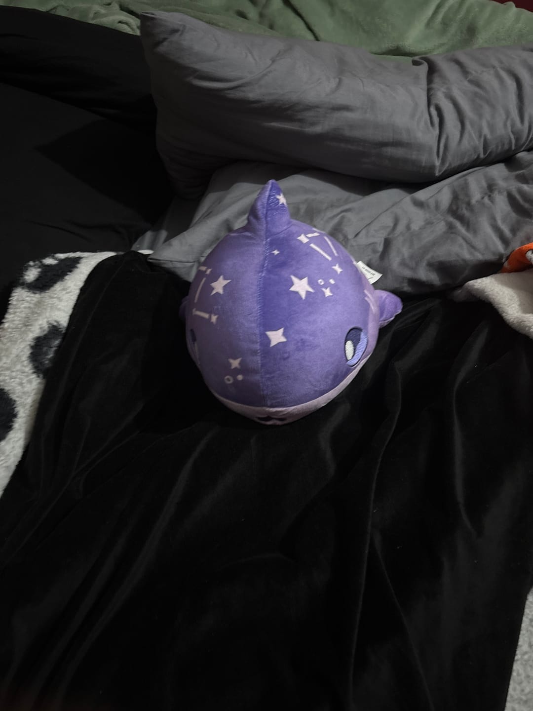Customer photo review of Starry Chark Plushie - PREORDER!