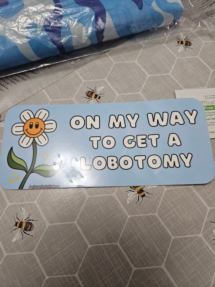 Customer photo review of On My Way To Get A Lobotomy
