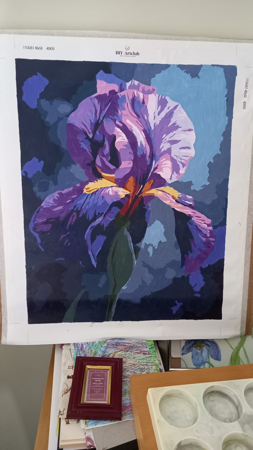 Customer photo review of Purple Bloom | Paint by Number