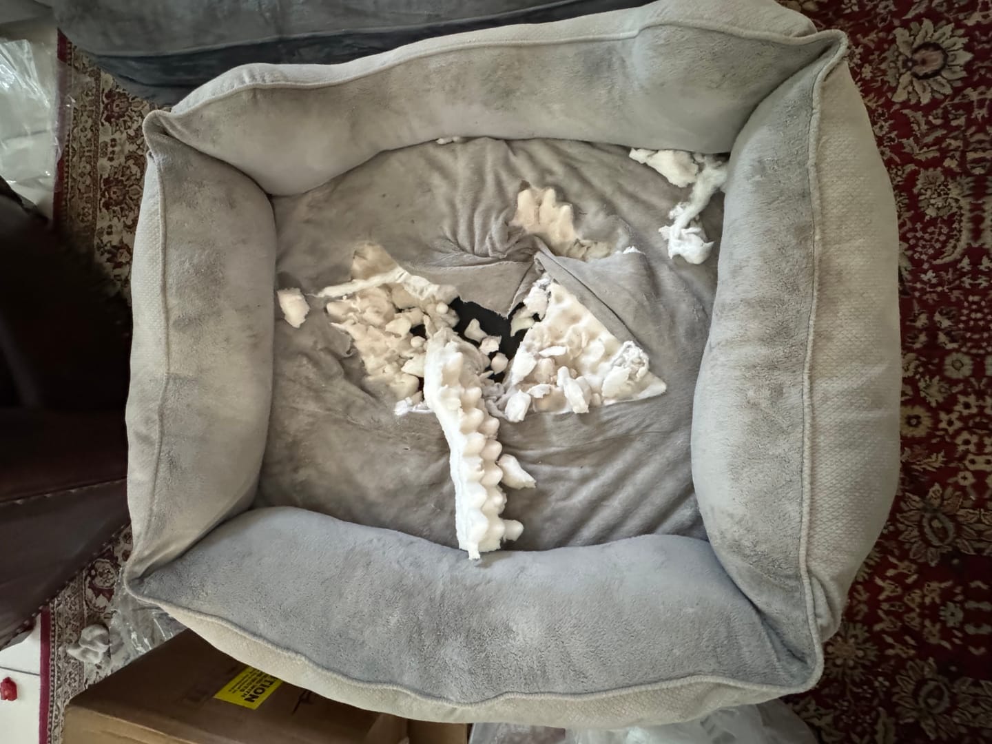 Customer photo review of Big Ass Bolster Bed